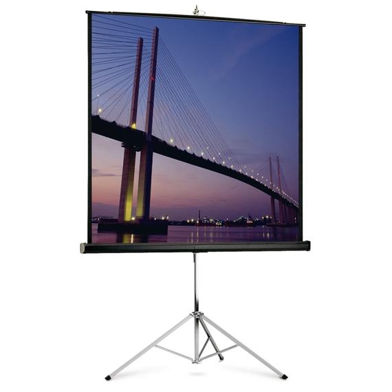 Projecta Picture King 244x244cm Matte White (1:1) vetítővászon