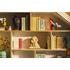 Kép 12/13 - Sonos Roam 2 intelligens ultrahordozható hangszóró, piros