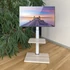 Kép 8/9 - Techly ICA-TR59 fix padlóállvány 32-70" LCD/LED kijelzőhöz, fehér